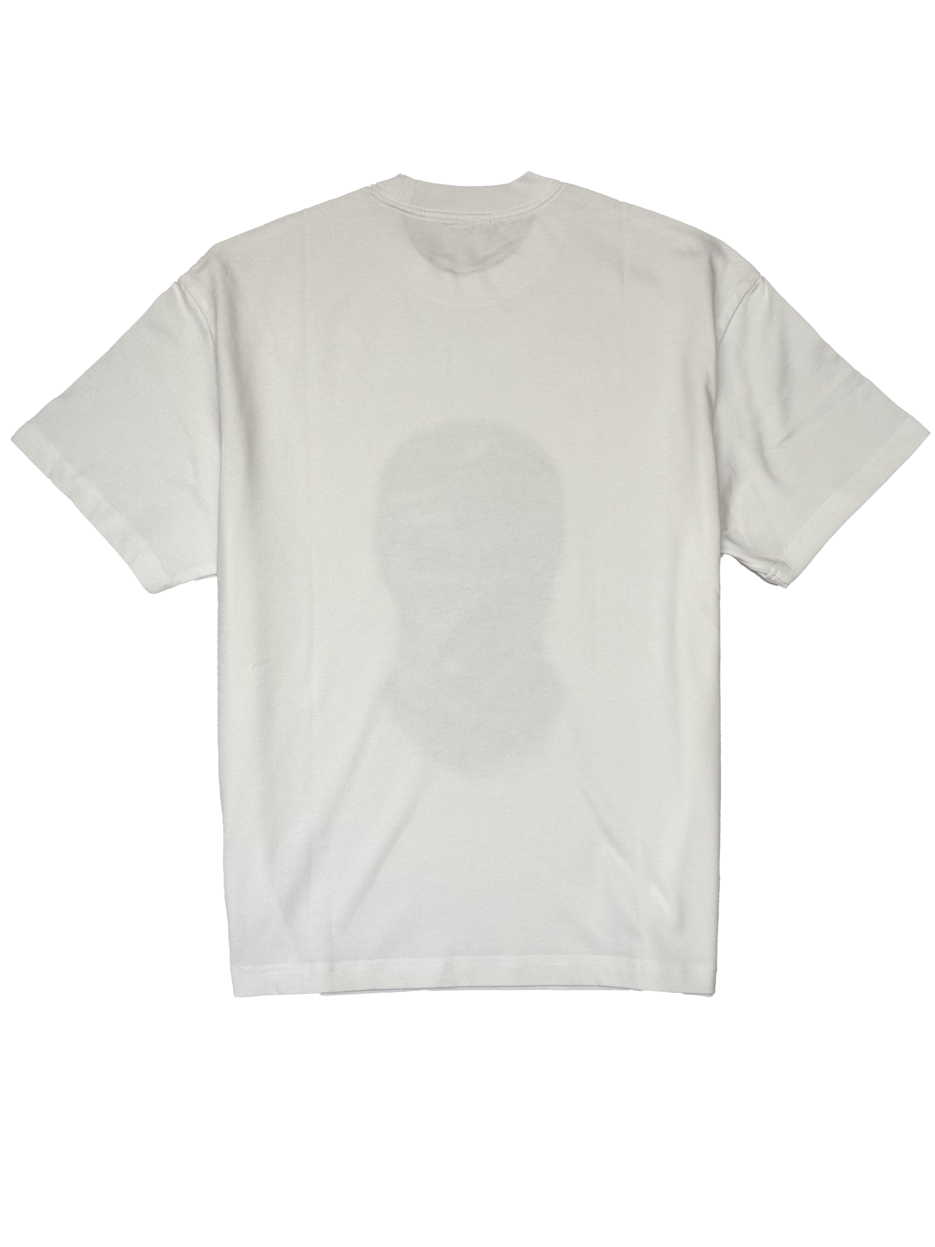 STLSS 008 | TShirt Front Print