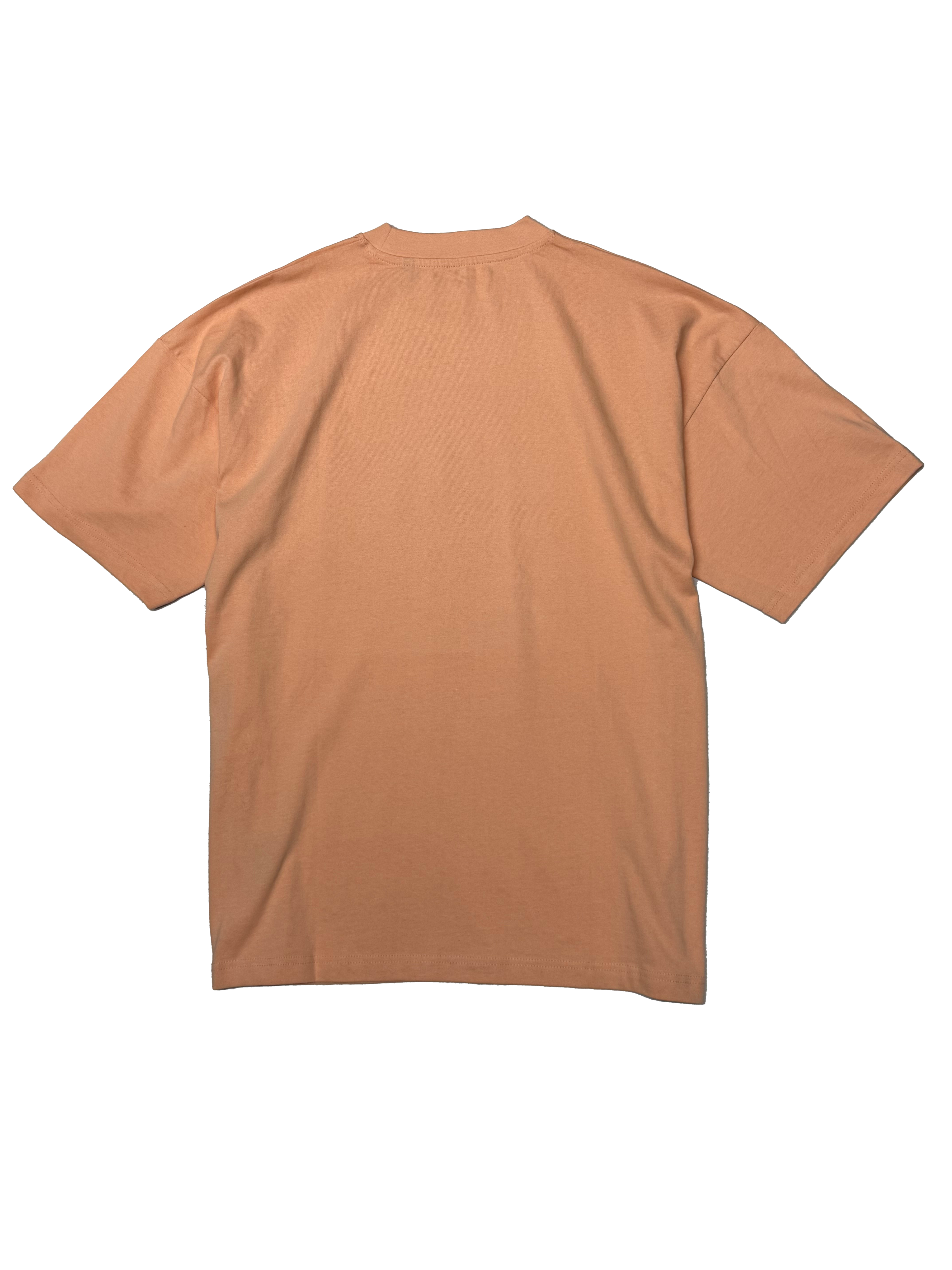 STLSS 027 | TShirt Front Print
