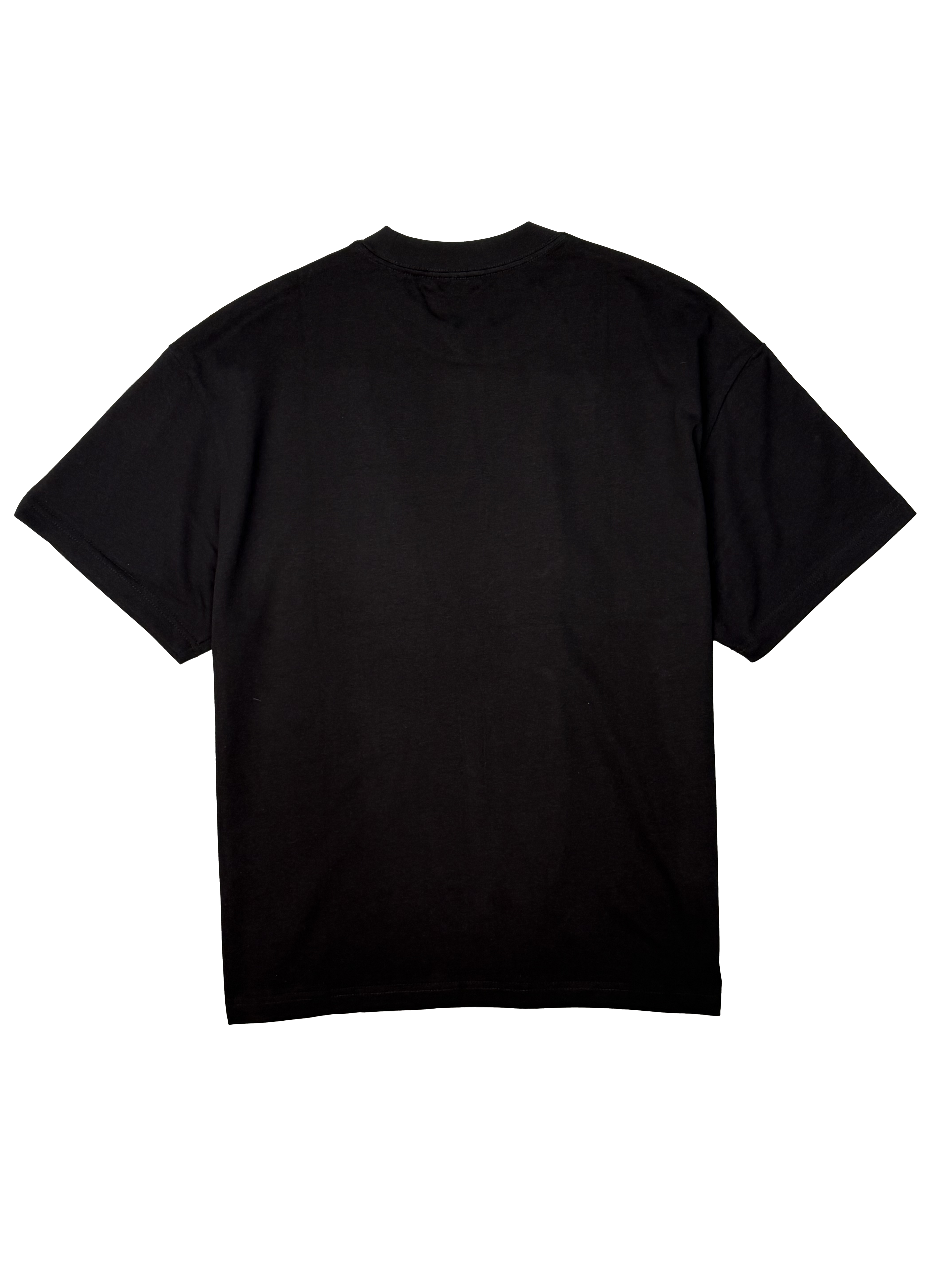 STLSS 013 | TShirt Front Print
