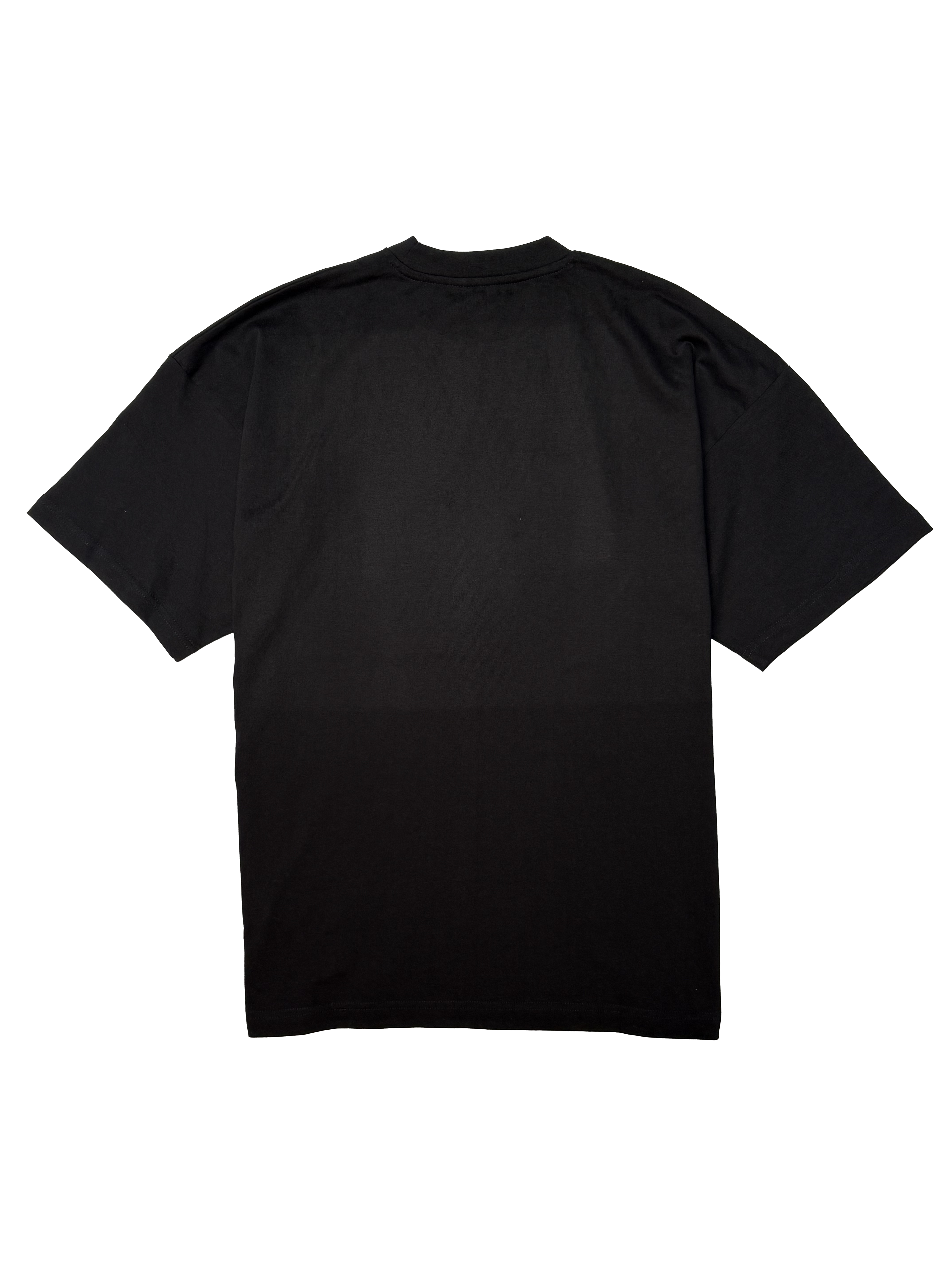 STLSS 006 | TShirt Front Print